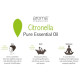 Aroma Treasures Citronella Pure Essential Oil image