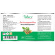 Naturz Ayurveda Ashwagandha 350mg Capsule image