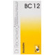 Dr. Reckeweg Bio-Combination 12 (BC 12) Tablet image