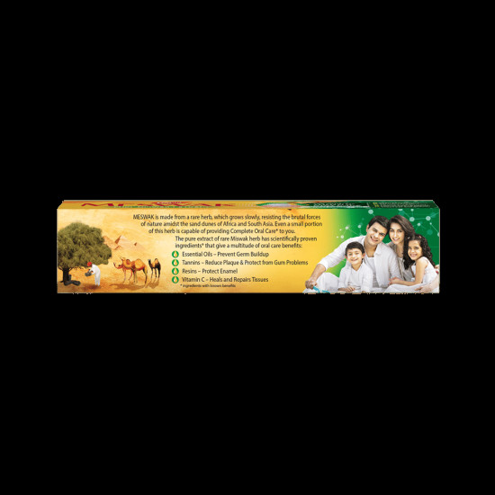 Dabur Meswak Complete Oral Care Toothpaste image