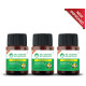 Dr. Vaidya's Herbobuild Ayurvedic Muscle Supplement Capsule (30 Each) image