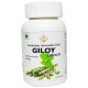 Luxurious Ayurvedic Gold Giloy Extracts 500mg Capsule image