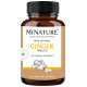 Minature Ginger Tablet image