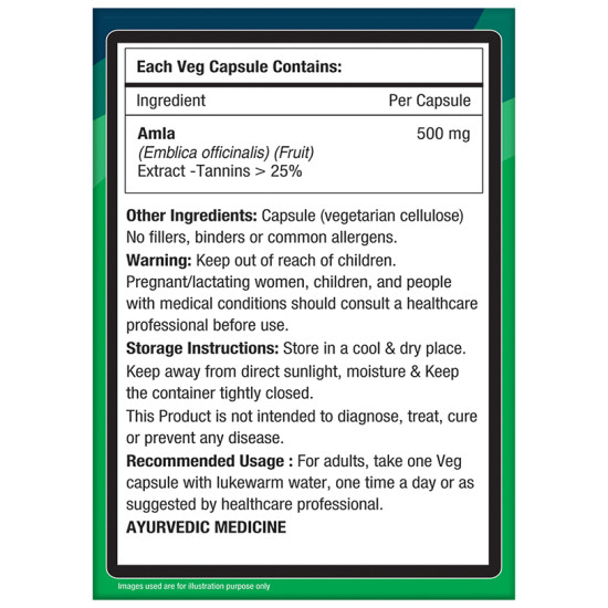 NourishVitals Amla Vitamin C 500mg Veg Capsule (60 Each) image