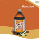 Sandu Hemocleen Excellent Blood Purifier image