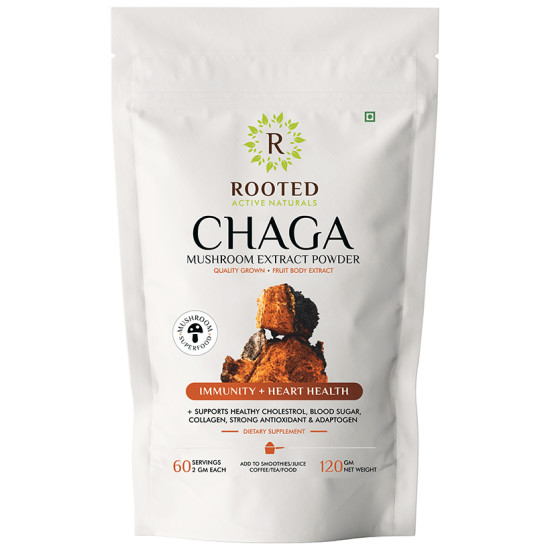 Rooted Active Naturals Chaga Mushroom Extract Powder image