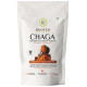 Rooted Active Naturals Chaga Mushroom Extract Powder image