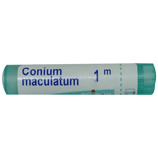 Boiron Conium Maculatum Pellets 1M image