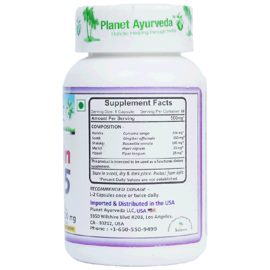 Planet Ayurveda Rumo Gin 5 Vege Capsule image