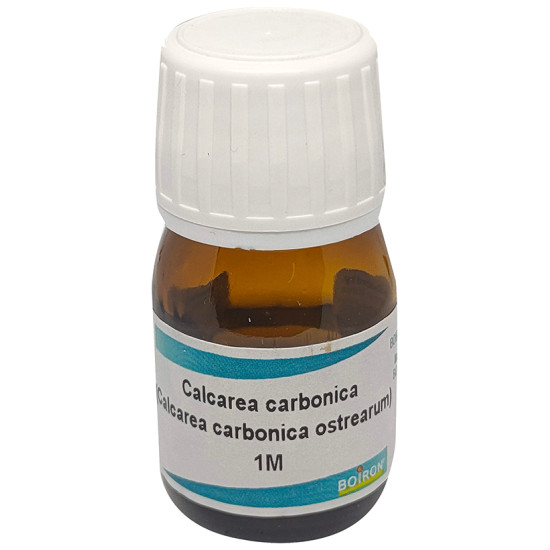 Boiron Calcarea Carbonica (Calcarea Carbonica Ostrearum) Dilution 1M image