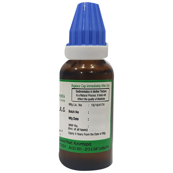 Hering Pharma Cydonia Vulg Mother Tincture Q image