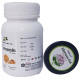 Shri Nath Curcumin Capsule with Aloevera Gel 10gm Free image