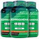 NourishVitals Ashwagandha 500mg Veg Capsule (60 Each) image