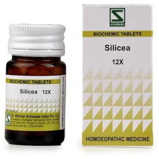 Dr Willmar Schwabe India Silicea Biochemic Tablet 12X image