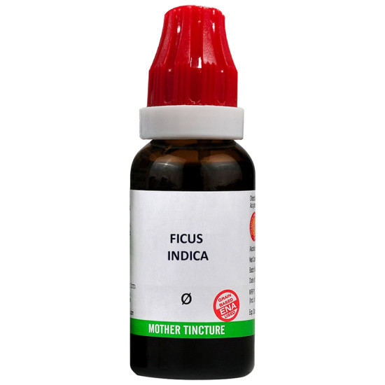 Bjain Ficus Indica Mother Tincture Q image