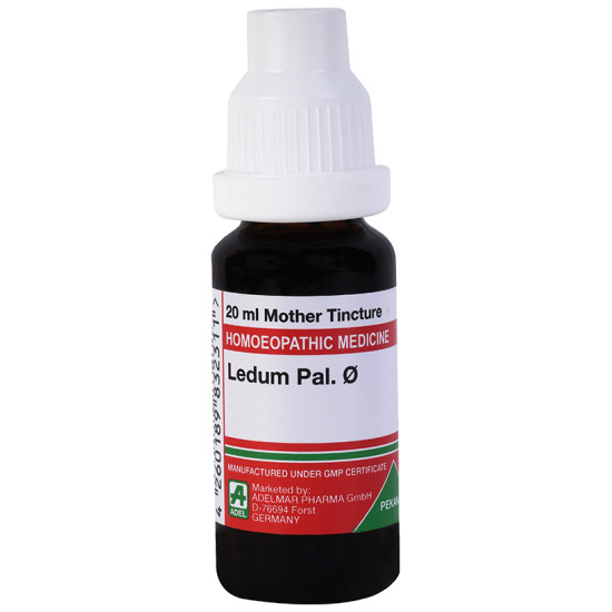 ADEL Ledum Pal. Mother Tincture Q image