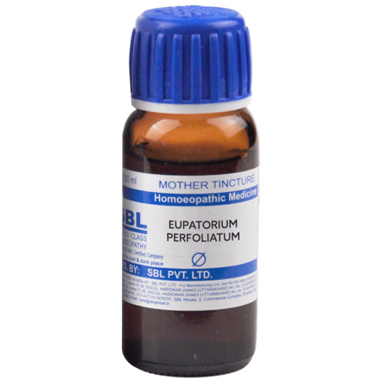 SBL Eupatorium Perfoliatum Mother Tincture Q image