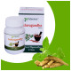 Alsence Ashwagandha Tablet (40 Each) image