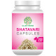 Globyherbs Shatavari Capsule image