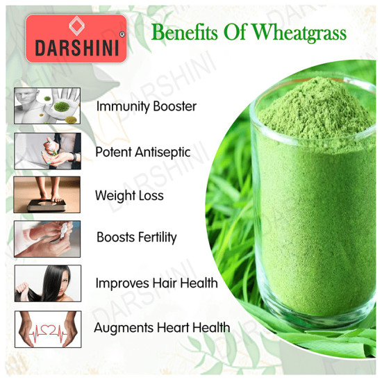 Darshini Wheat Grass / Triticum Aestivum Powder image