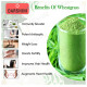 Darshini Wheat Grass / Triticum Aestivum Powder image