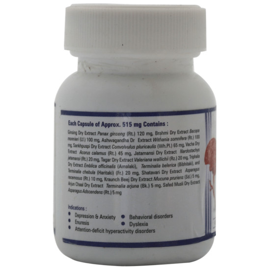 Vaidyamrit Actibrain Capsule image