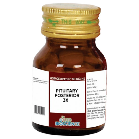 LDD Bioscience Pituitary Posterior 3X image