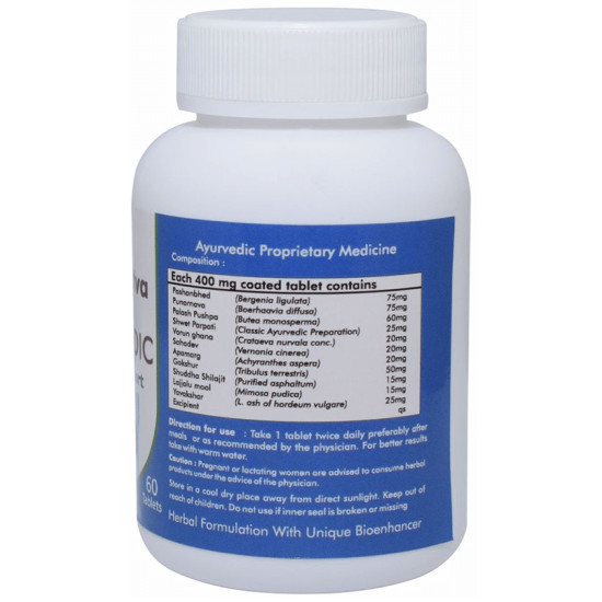 Ved Tattva Stonvedic Kidney Support Tablet image