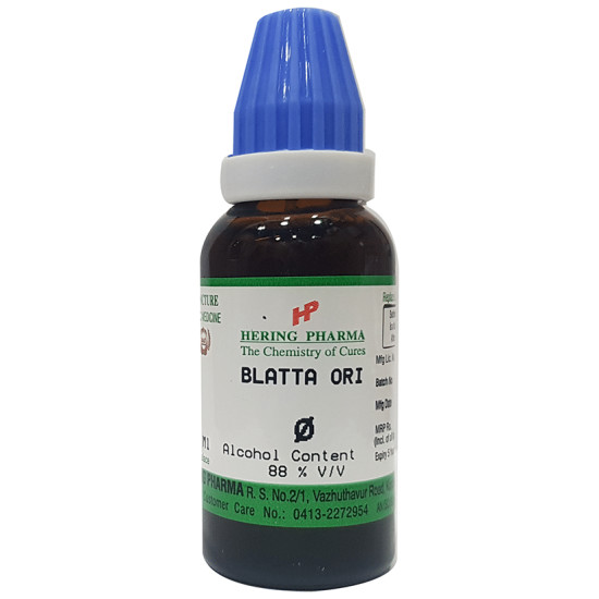 Hering Pharma Blatta Ori Mother Tincture Q image