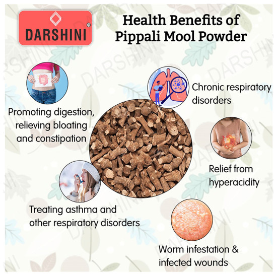 Darshini Pipla Mool / Pipalmool / Long Pepper Root Powder image