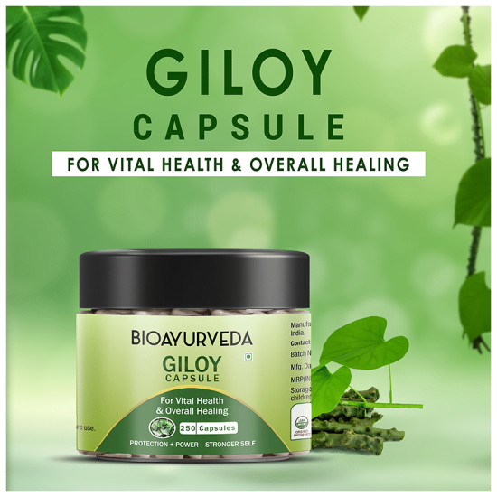 Bioayurveda Giloy Capsule image