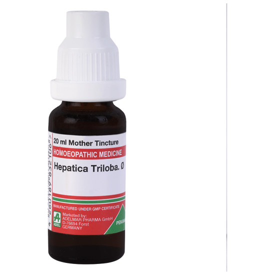 ADEL Hepatica Triloba. Mother Tincture Q image