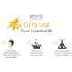 Aroma Treasures Curry Leaf Essential Oil image