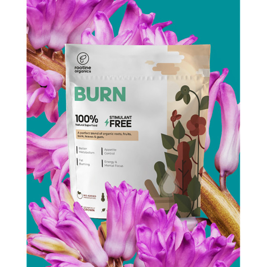 Rootine Organics Burn Powder image