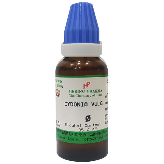 Hering Pharma Cydonia Vulg Mother Tincture Q image