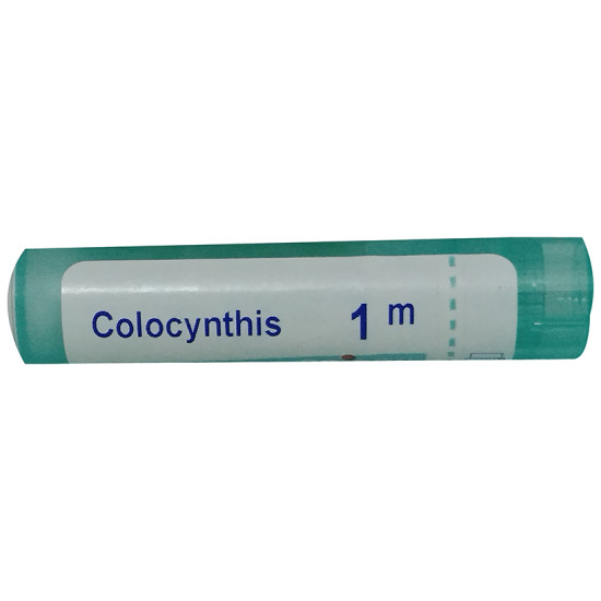 Boiron Colocynthis Pellets 1M image