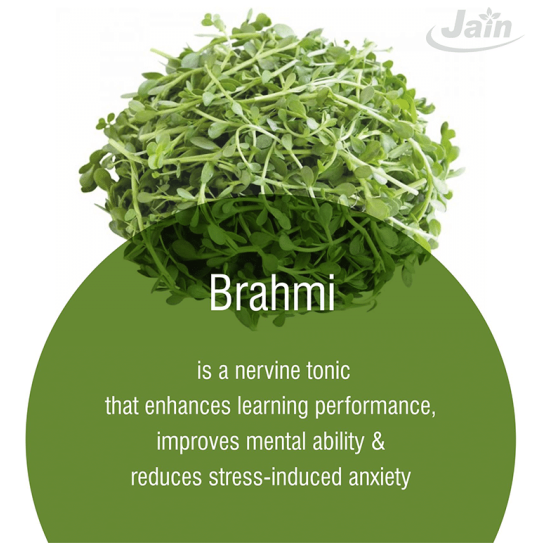 Jain Brahmi (Bacopa Monnieri) Powder image