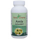 Ayur Champ Amla Antioxidant Tablet image