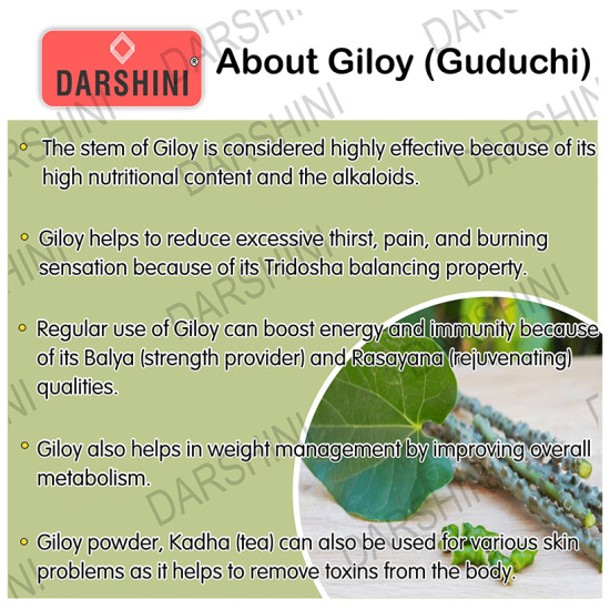 Darshini Giloy/Guduchi/Gulvel Stem/Tinospora Cordifola Powder image