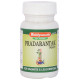 Baidyanath (Jhansi) Pradarantak Tablet image