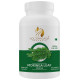 Goldenacacia Herrbals Moringa Leaf Powder image